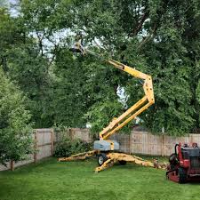 Best Commercial Tree Services  in Mpbell, CA